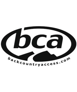 BCA