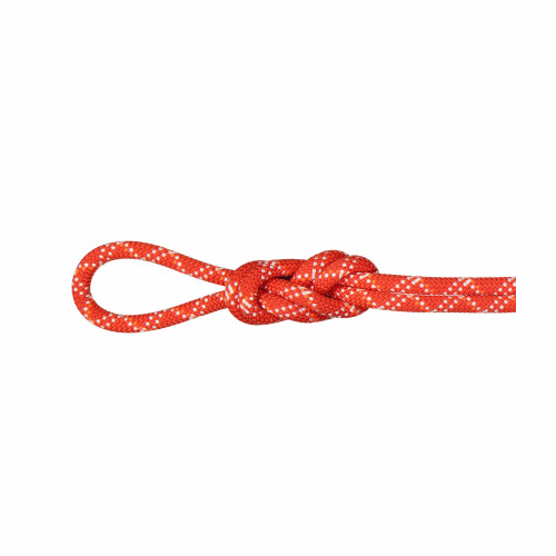 Mammut 9.5 Gym Classic Rope