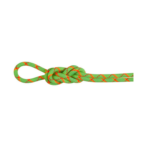 Mammut 8.0 Alpine Core Protect Dry Rope