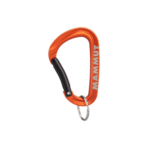 Mammut Mini Carabiner Workhorse Keylock L