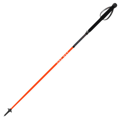 One Way MTX Carbon Vario Poles