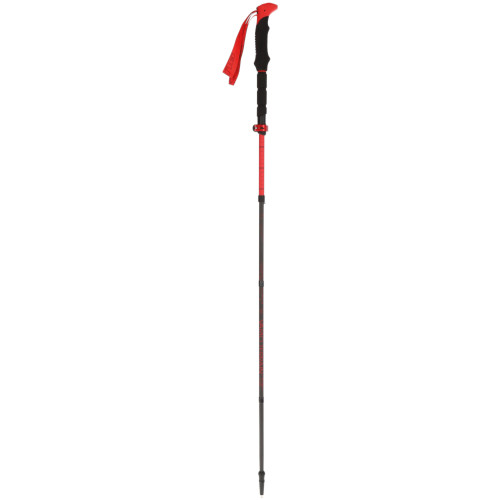 Viking Spider FS Poles