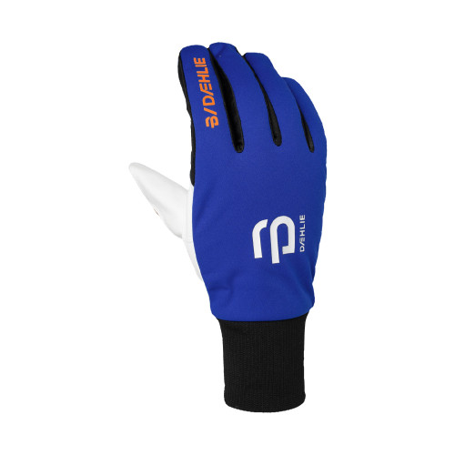 Daehlie Race Warm Gloves