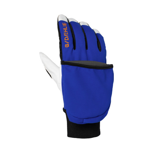 Daehlie Race Coverage Gloves