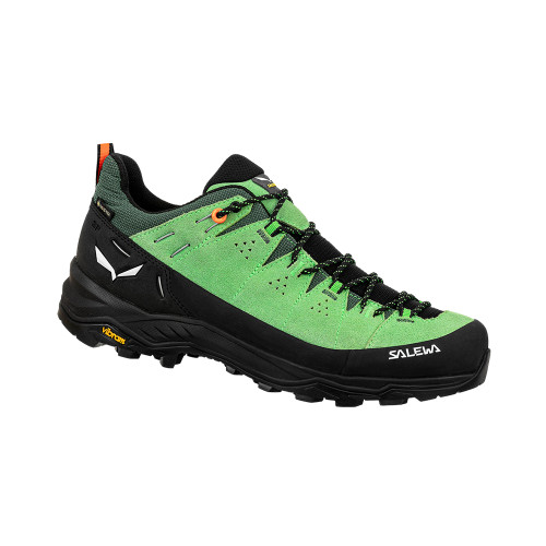 Salewa Alp Trainer 2 GTX