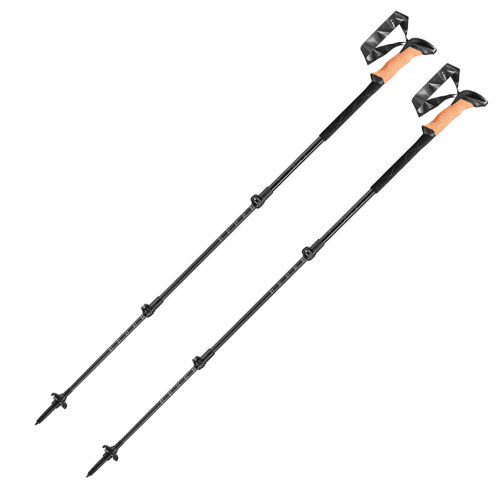 Leki Black Series Carbon Poles