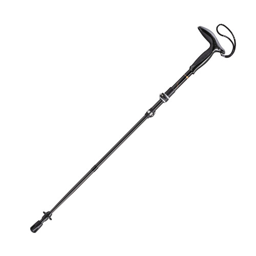 Leki Legend Series Micro Poles