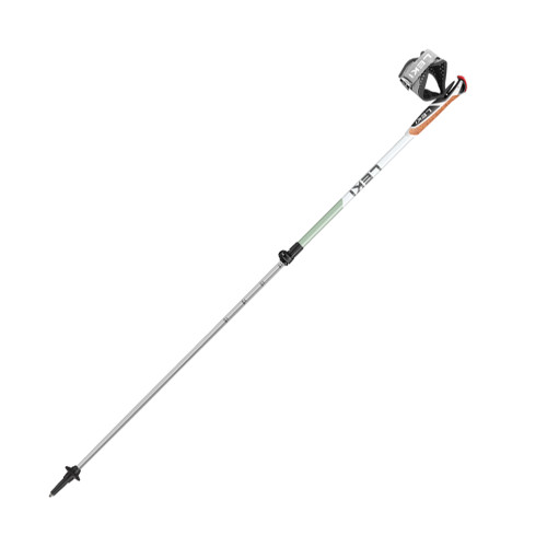 Leki Spin Shark SL Poles